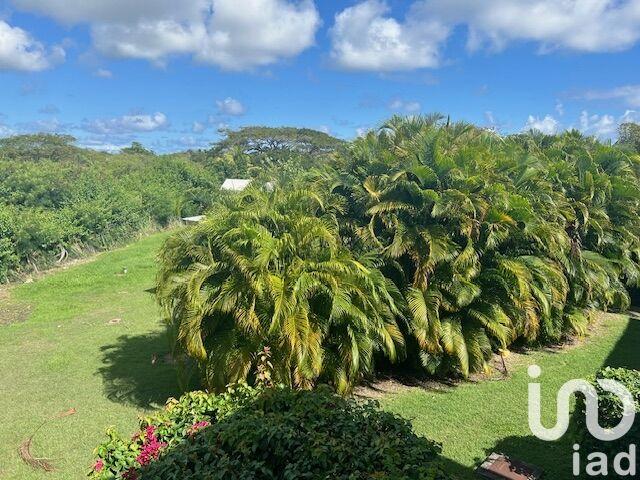 Appartement - 53 m² - 2 pièces