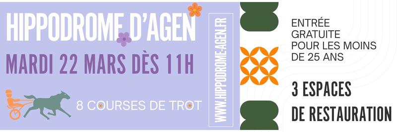 Sport &amp; spectacle équestre + restaurant panoramique