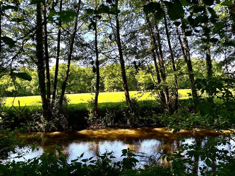 Moulin - 401 m² - 12 pièces