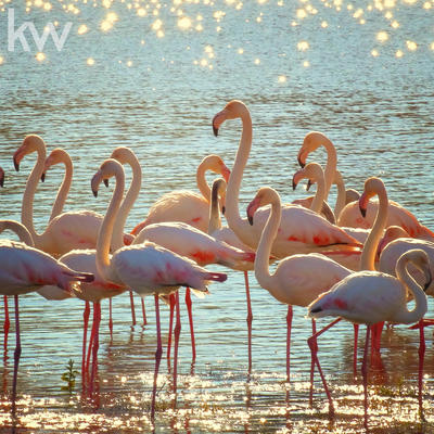 Fonds de commerce - Magasins - 8 978 m²