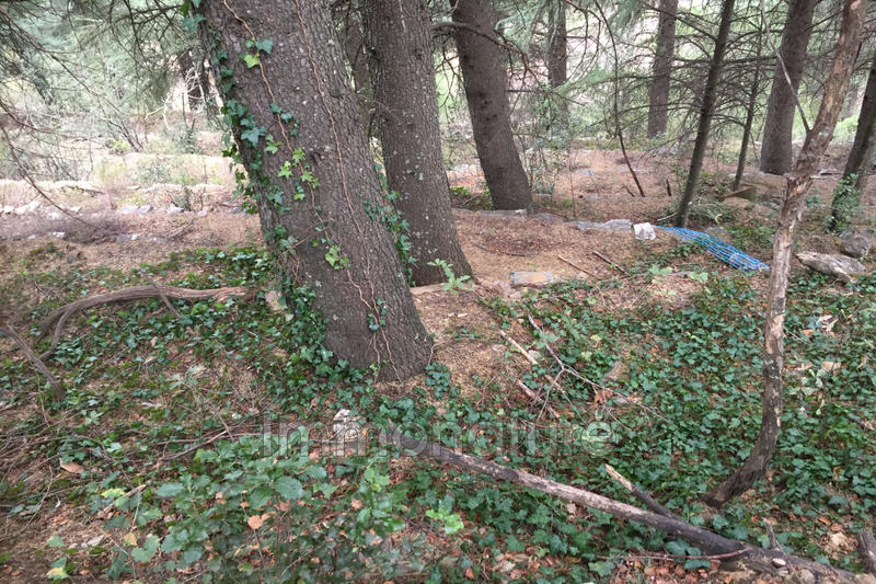 Terrain de loisirs - 1 250 m²