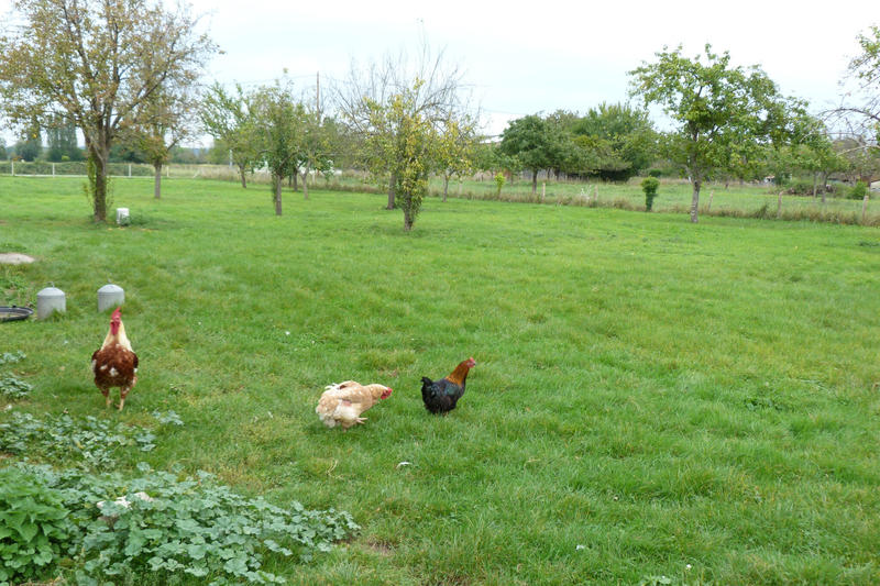 Maison - 205 m² - 10 pièces