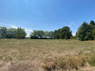 Terrain constructible - 3 205 m²