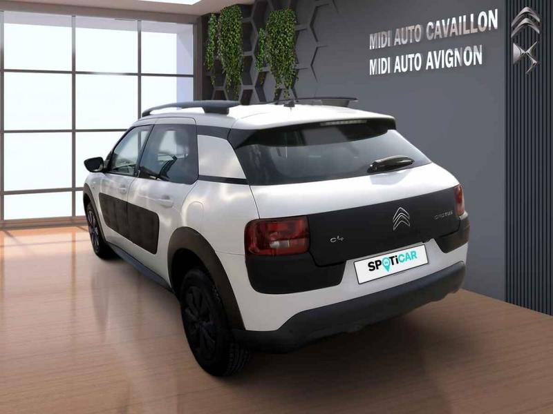 Citroën C4 Cactus 1.6 BlueHDi 100 cv Business s&amp;S 82g