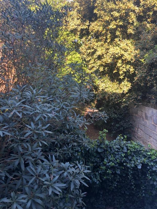 Appartement - 35 m² - 1 pièce