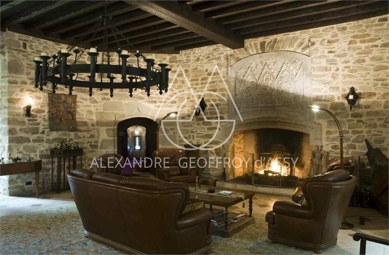 Château - 3 500 m² - 30 pièces