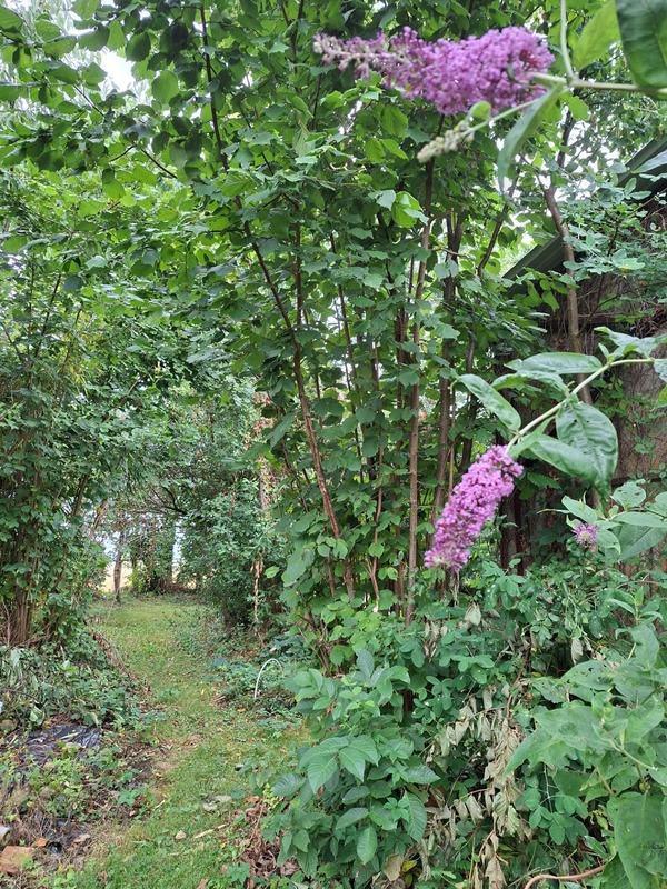 Propriété - 160 m² - 5 pièces