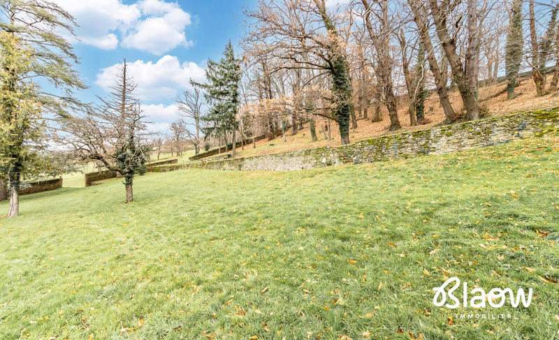 Viager - Maison - 306 m² - 9 pièces