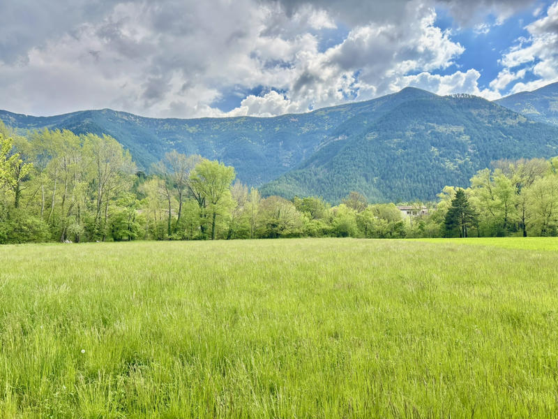 Maison - 204 m² - 8 pièces