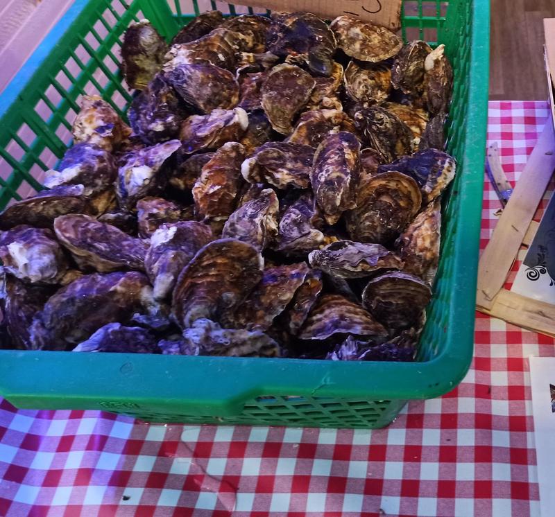 Fête des coquillages aux Laurons