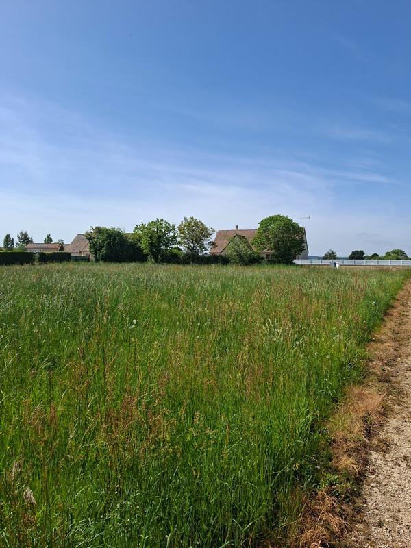 Terrain constructible - 1 040 m²