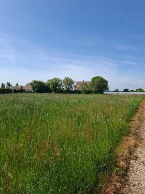 Terrain constructible - 1 040 m²