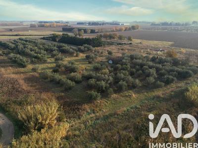 Terrain agricole - 11 946 m²