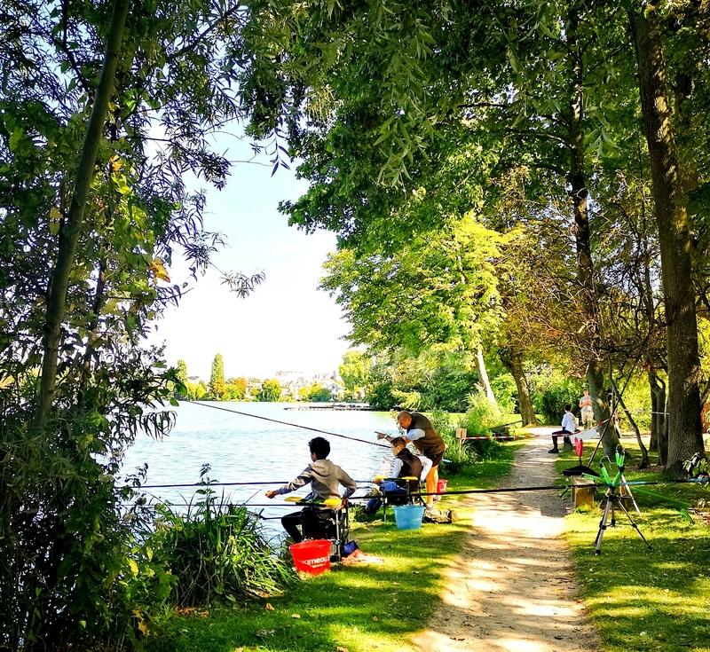 Appartement - 79 m² - 4 pièces