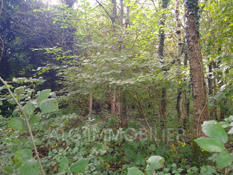 Maison - 53 m² - 1 pièce