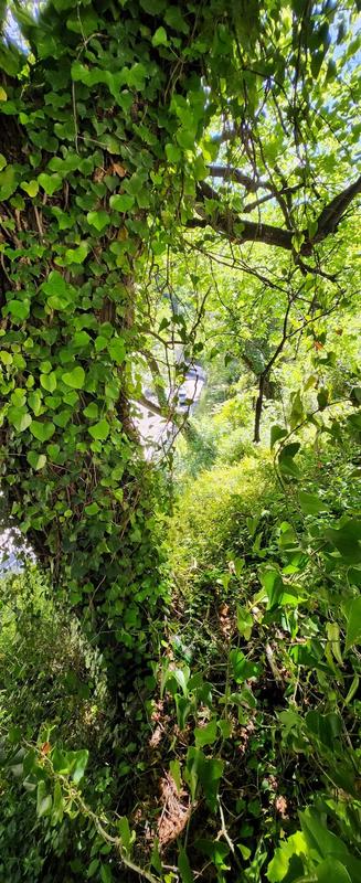 Terrain constructible - 1 161 m²