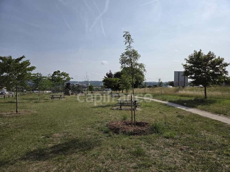 Bureau - 56 m² - 3 pièces