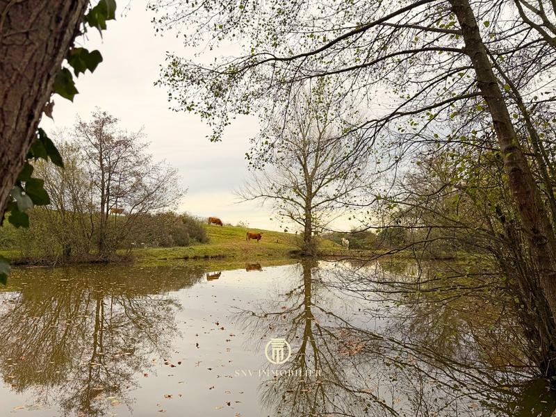 Propriété - 430 m² - 11 pièces