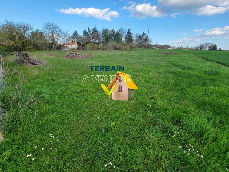 Terrain constructible - 3 039 m²