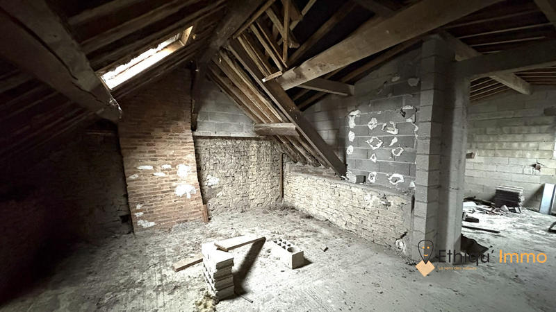 Maison ancienne - 558 m² - 12 pièces