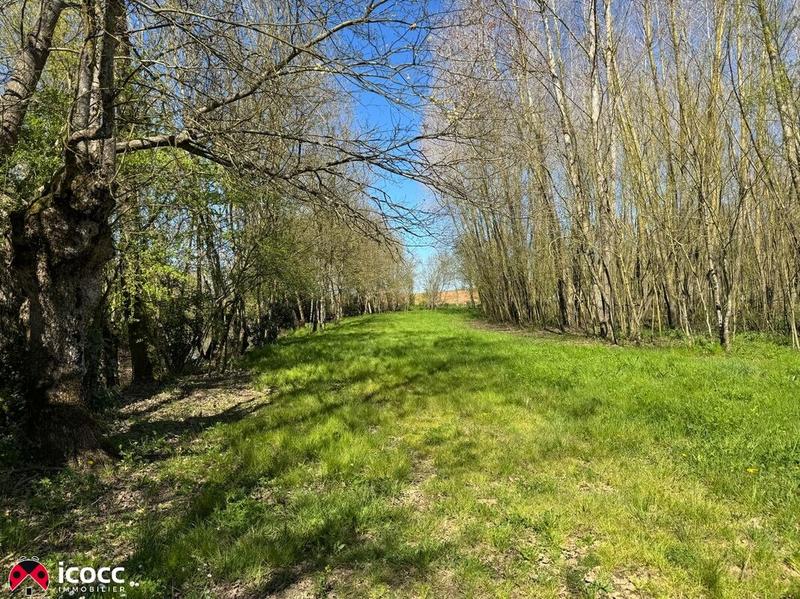 Terrain de loisirs - 3 255 m²