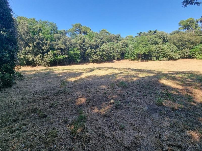 Terrain constructible - 3 058 m²