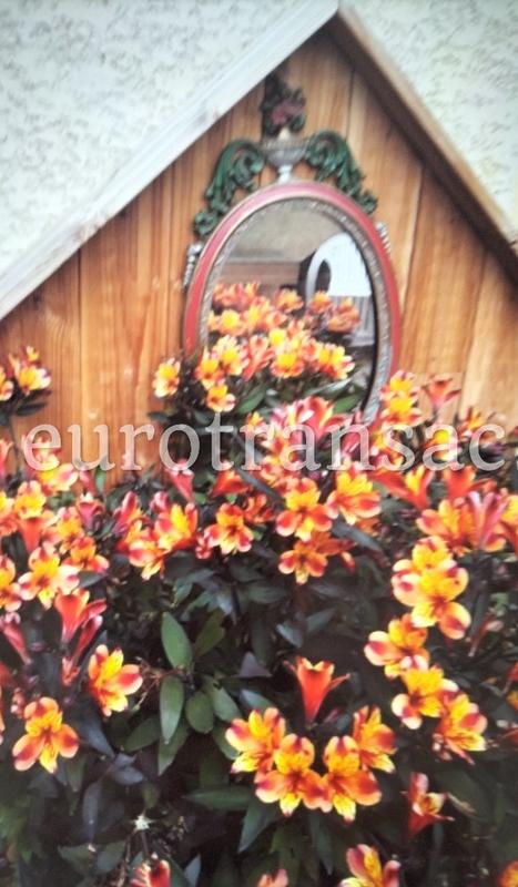 Appartement - 94 m² - 4 pièces