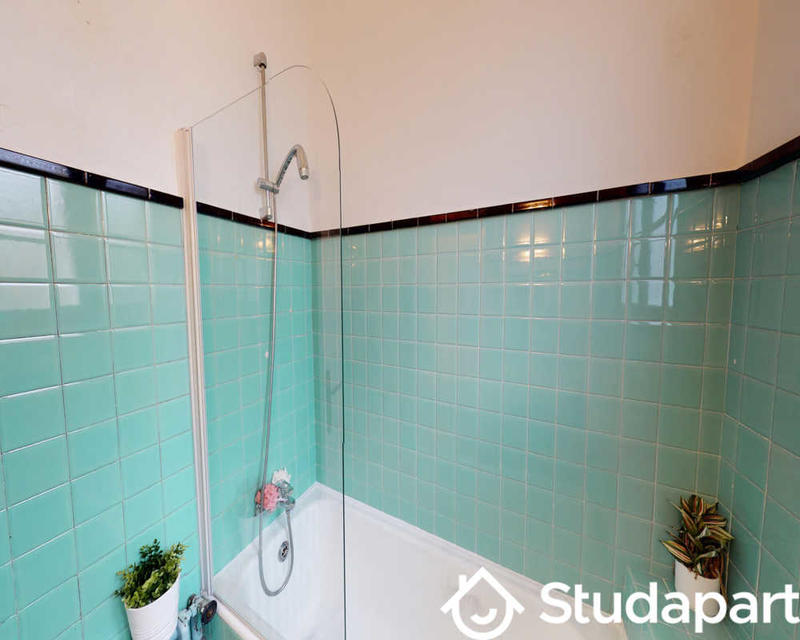 Chambre - 50 m² - 1 pièce