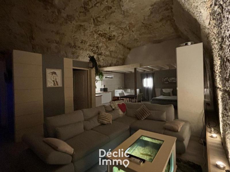 Château - 558 m² - 14 pièces