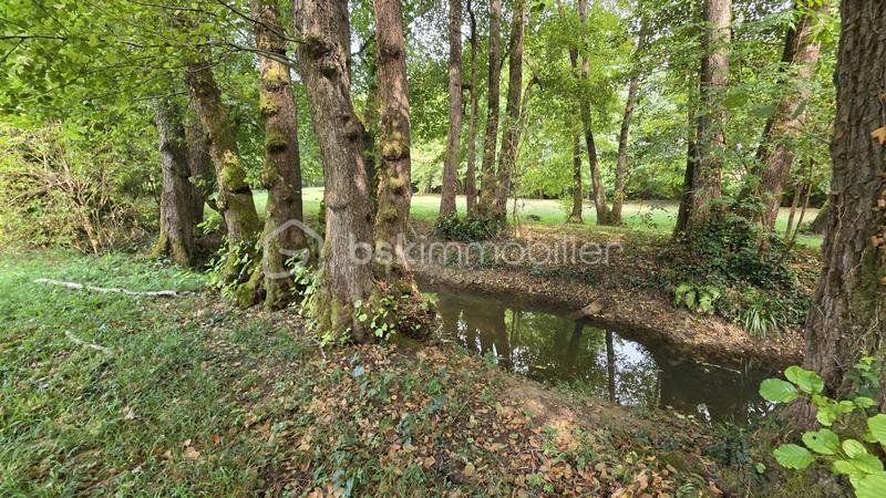 Moulin - 390 m² - 10 pièces