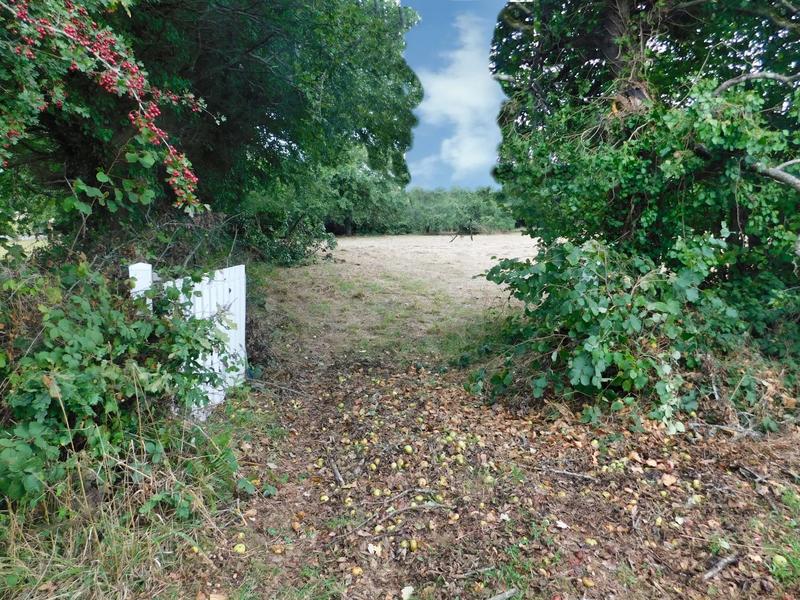 Terrain constructible - 3 080 m²