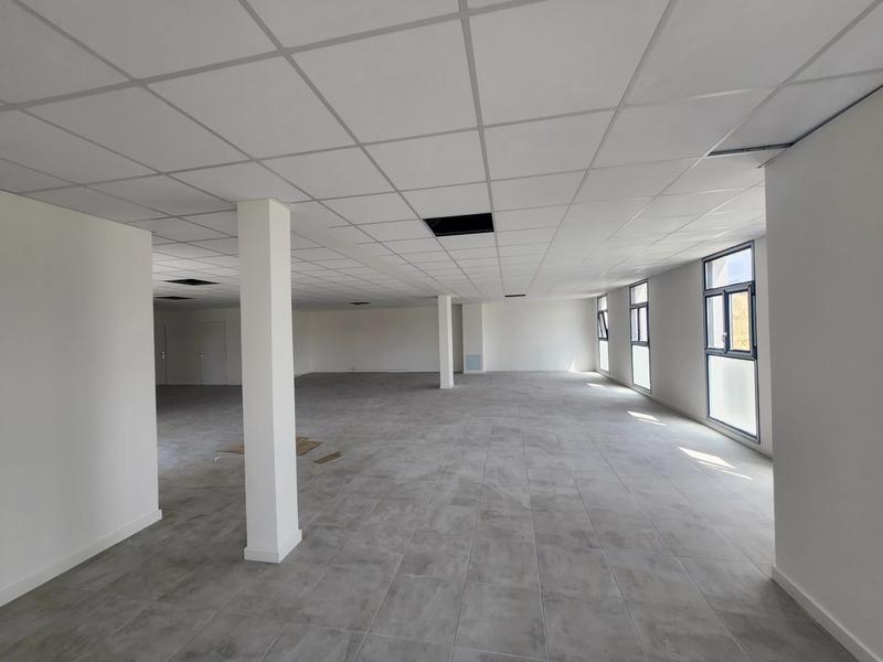 Bureau - 445 m² - 5 pièces