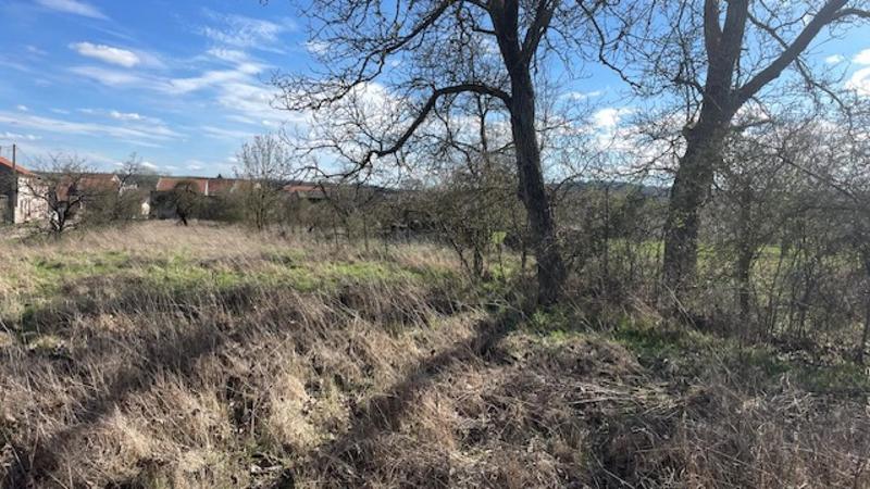 Terrain constructible - 790 m²