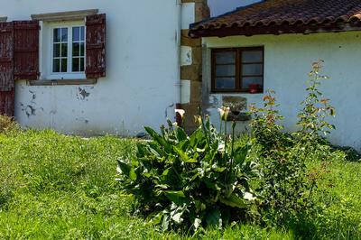 Maison - 142 m² - 7 pièces