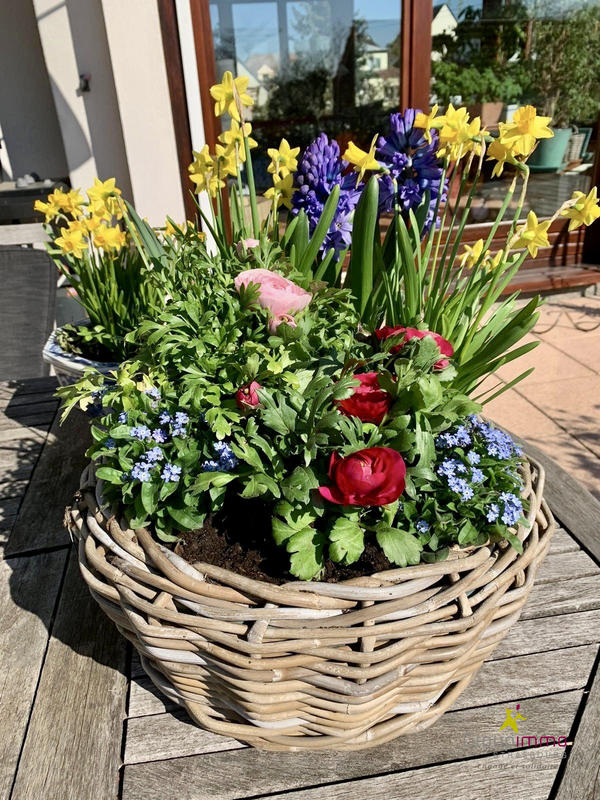 Maison - 245 m² - 8 pièces