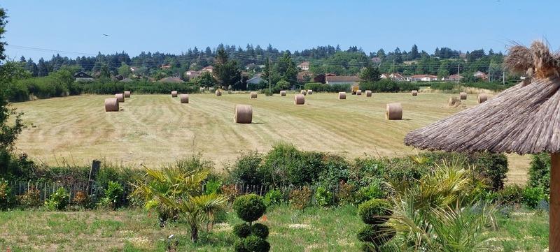 Maison - 180 m² - 7 pièces