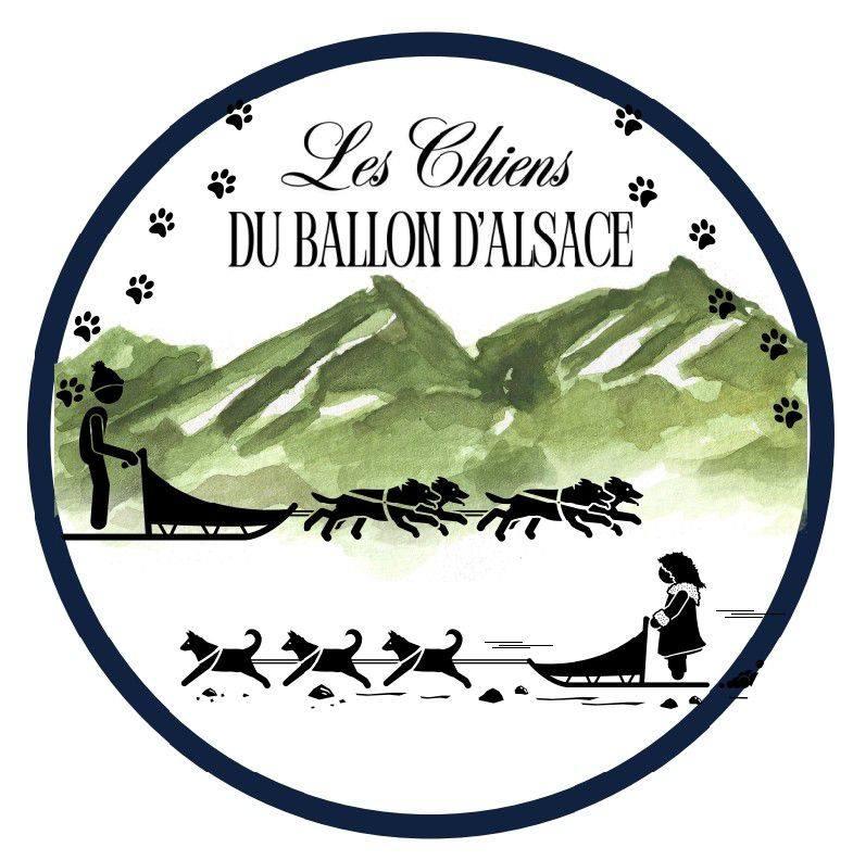 Balade en chiens de traineau