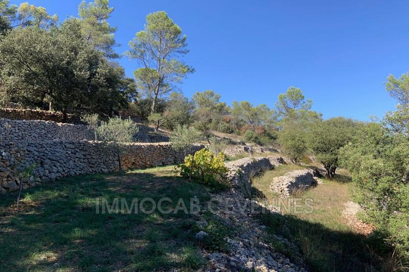 Maison en pierre - 110 m² - 4 pièces