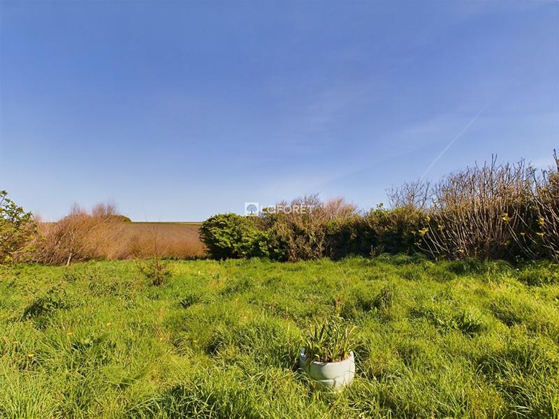 Maison ancienne - 220 m² - 12 pièces