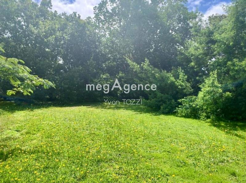 Terrain constructible - 1 423 m²