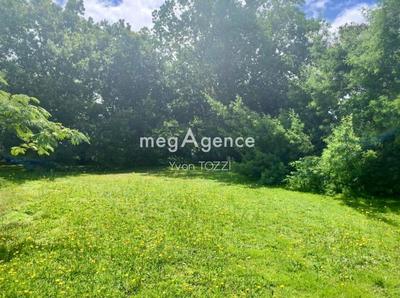 Terrain constructible - 1 423 m²