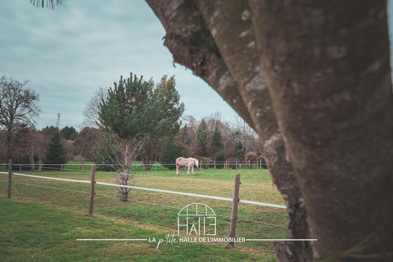 Pavillon - 145 m² - 6 pièces