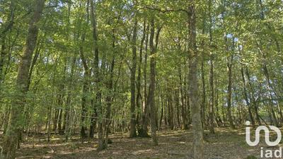 Ferme - 300 m² - 5 pièces