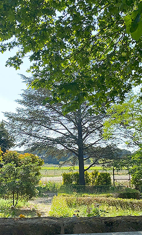 Mas - 330 m² - 8 pièces