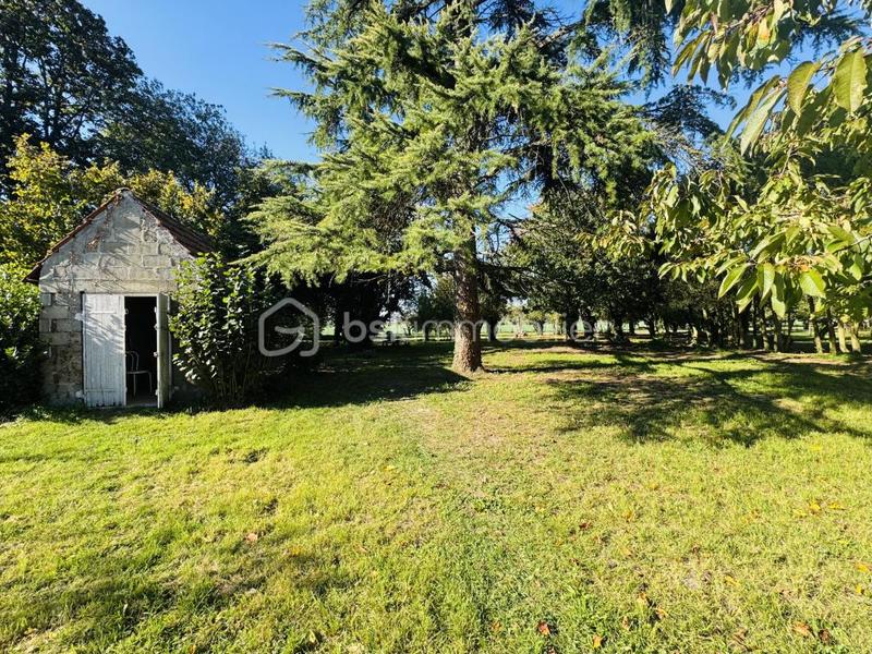 Maison ancienne - 170 m² - 9 pièces