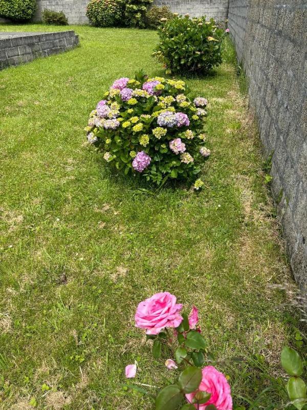 Maison - 127 m² - 7 pièces