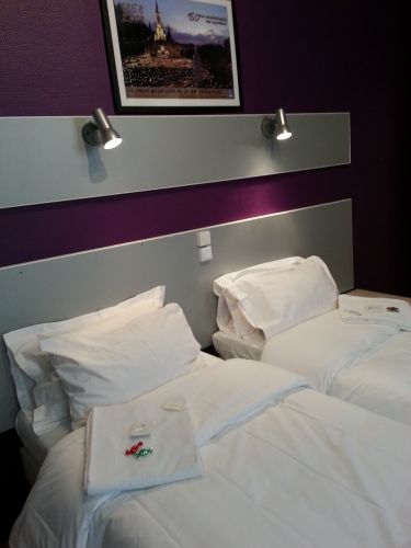 Adonis Lourdes Hotel du Dauphine