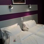Adonis Lourdes Hotel du Dauphine