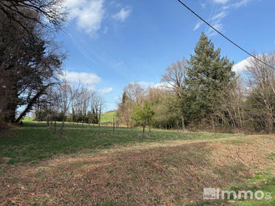 Terrain agricole - 4 905 m²