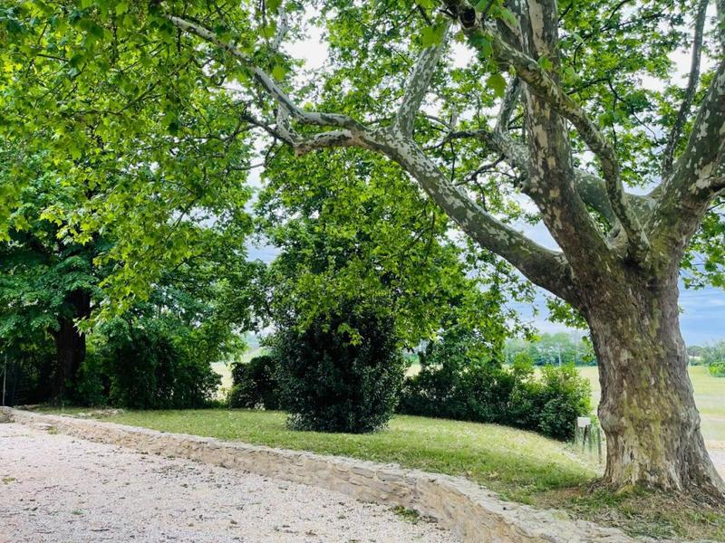 Maison en pierre - 105 m² - 5 pièces